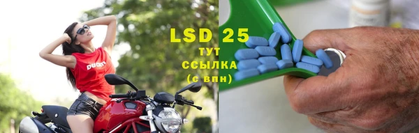 тгк Бородино