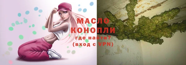 тгк Бородино