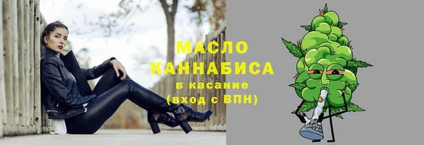 тгк Бородино