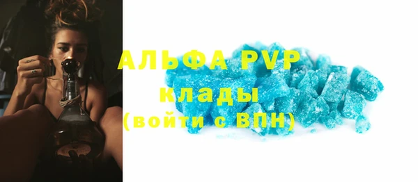 тгк Бородино