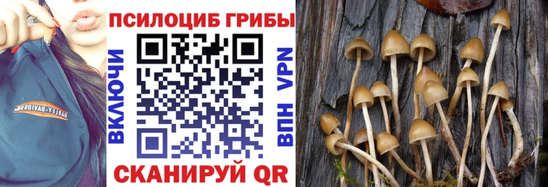 кракен ССЫЛКА  Долгопрудный  Псилоцибиновые грибы Magic Shrooms 